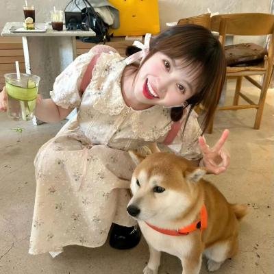 阿松第三季